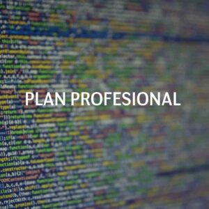 Plan Profesional